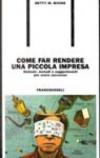 Come far rendere una piccola impresa. Sistemi, metodi e suggerimenti per avere successo