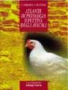 Atlante di patologia ispettiva degli avicoli