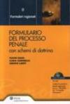 Formulario del processo penale. Con CD-ROM