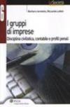 Gruppi d'imprese. Disciplina civilistica, contabile e profili penali