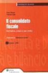 Il consolidato fiscale. Normativa, prassi e casi pratici