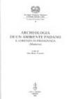 Archeologia di un ambiente padano. S. Lorenzo di Pegognaga (Mantova)