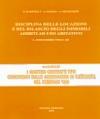 Disciplina delle locazioni e del rilascio degli immobili adibiti ad uso abitativo. Legge 9 dicembre 1998, n. 431