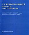 La responsabilità penale dell'impresa