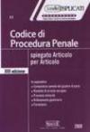 Codice di procedura penale spiegato articolo per articolo. 13 ed. 2008