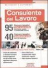 Consulente del lavoro. Diritto del lavoro e legislazione sociale, diritto tributario. Programma completo per le prove scritte. Con 3 allegati (4 vol.)