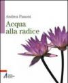 Acqua alla radice