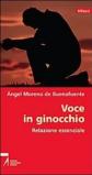 Voce in ginocchio. Relazione essenziale