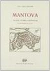 Mantova. Notizie storico-artistiche sotto forma di guida
