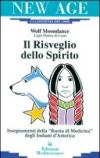 Il risveglio dello spirito. Insegnamenti della «Ruota di medicina» degli indiani d'America