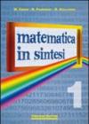 Matematica in sintesi. Per le Scuole superiori: 1