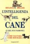 L'intelligenza del cane (e del suo padrone)