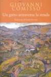 Un gatto attraversa la strada