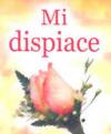 Mi dispiace