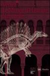 Venise. Le Musée d'histoire naturelle