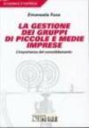 La gestione dei gruppi di piccole e medie imprese. L'importanza del consolidamento