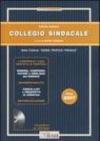 Collegio sindacale 2007. Con CD-ROM