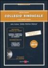 Collegio sindacale 2010. Con CD-ROM