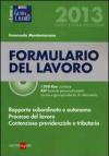 Formulario del lavoro. Con DVD-ROM