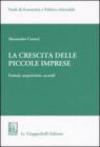 La crescita delle piccole imprese. Fusioni, acquisizioni, accordi