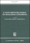 Il nuovo diritto dell'energia tra regolazione e concorrenza