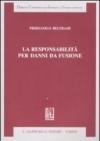 La responsabilità per danni da fusione
