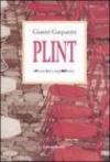 Plint. Il piccolo libro degli interstizi