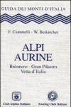 Alpi Aurine. Brennero, Gran Pilastro, Vetta d'Italia