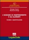 L'assegno di mantenimento e gli alimenti