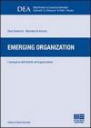 Emerging organization