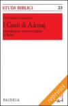 I canti di Adonaj. Introduzione storico-religiosa ai Salmi