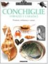 Le conchiglie