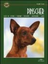 Pinscher