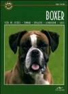 BOXER