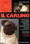 Il carlino