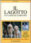 Il lagotto e i cani da tartufo