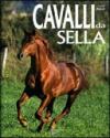 Cavalli da sella