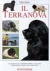 Il terranova