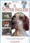 Il Setter Inglese