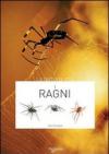 I ragni