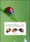 Le coccinelle