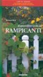 Il giardino con le rampicanti