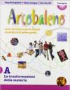 Arcobaleno. Modulo A-B-C-D. Con portfolio. Per la Scuola media. Con espansione online