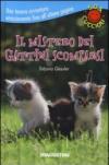 Il mistero dei gattini scomparsi. S.O.S. cuccioli