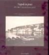 Napoli in posa (1860-1910). Crepuscolo di una capitale