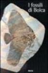 Fossili di Bolca
