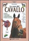 Cura del cavallo
