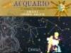Acquario