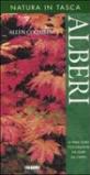 Alberi