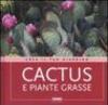 Cactus e piante grasse